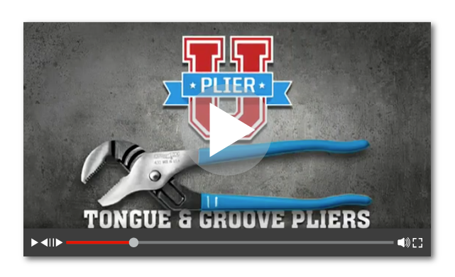 PlierU Video Screenshot